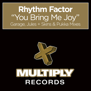 You Bring Me Joy (Pukka Remix)