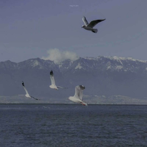 逆时针向-南燕（琉森 remix）