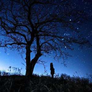 午夜时分 (抖音完整版)