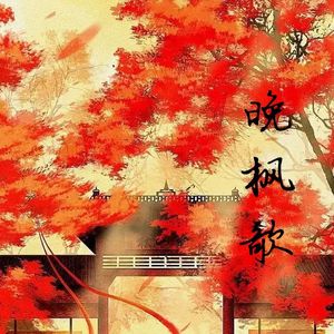 晚枫歌