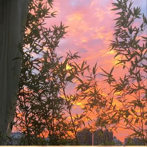 拿什么跟我抗衡 (哒哒哒)