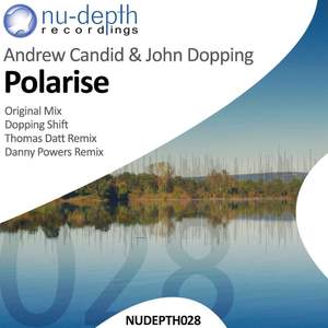 Polarise (Thomas Datt Remix)