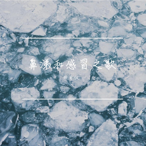 鼻涕和感冒之歌