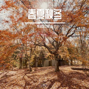 秋天的催眠音乐 二