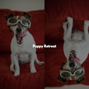 Magnificent Son Montuno Trumpet - Vibe for Colorful Days