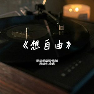 雾 - 想自由