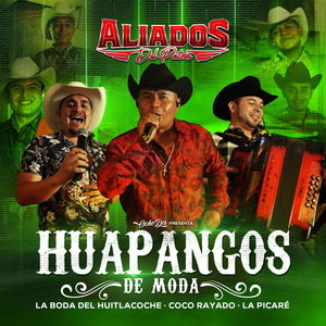 Huapangos de Moda: La Boda del Huitlacoche / Coco Rayado / La Picaré