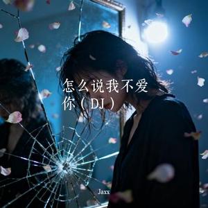 怎么说我不爱你 (DJ)