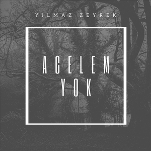 Acelem Yok