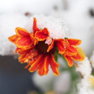 A Windy Day in New York