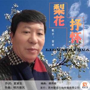 梨花抒怀 -笛哥