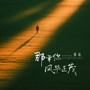 那年你风华正茂