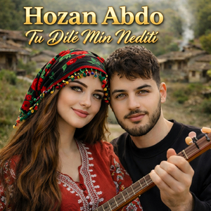 Tu Dilê Min Nedîtî