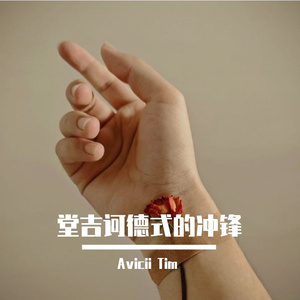 シャノン-【原唱-死別】堂吉诃德式的冲锋（Avicii Tim remix）