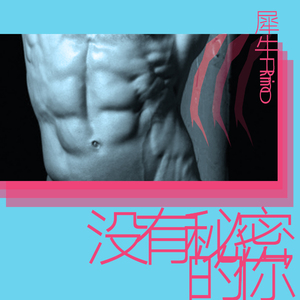 没有秘密的你