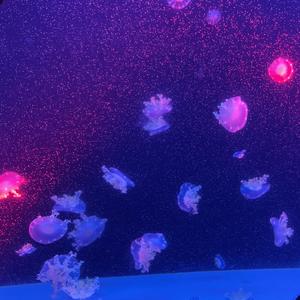 悲伤在零度以下（prod EVOMUSIC）