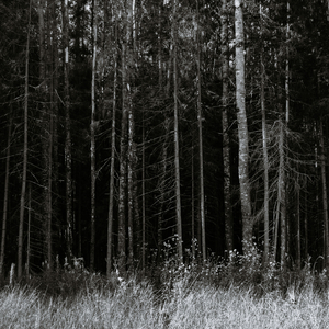 A Corridor of Thought