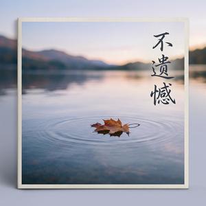 不遗憾