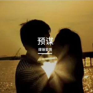 预谋（热歌许佳慧 remix）