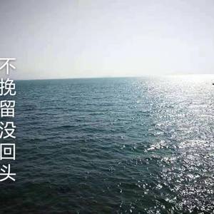 不挽留没回头（翻自 王小乱）