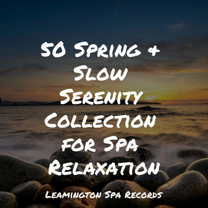 A Time for Relaxation
