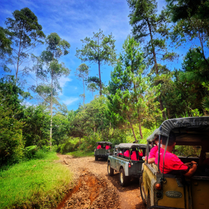 I Remember the Surprise