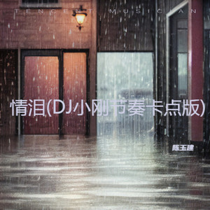 情泪 (DJ小刚节奏卡点版)