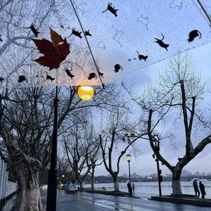 你在的每个日常