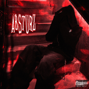 ABSTURZ