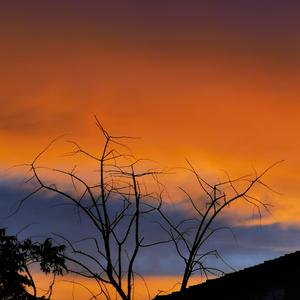 西湖_cover痛仰乐队