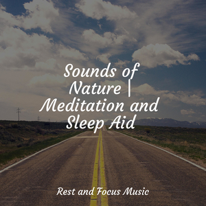 Sage Sounds