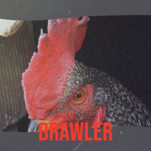 Brawler