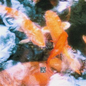 青丝配白发（戊化央 remix）