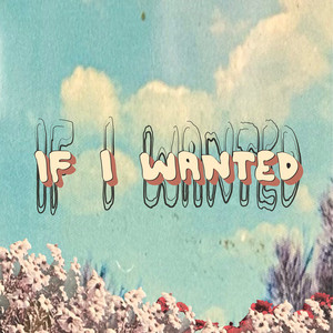 If I Wanted