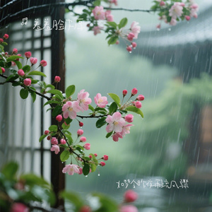 如梦令昨夜雨疏风骤