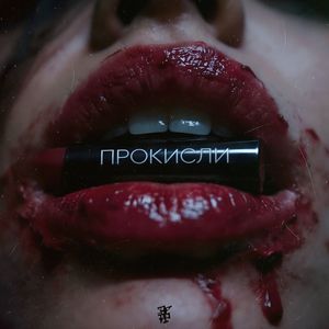 Прокисли