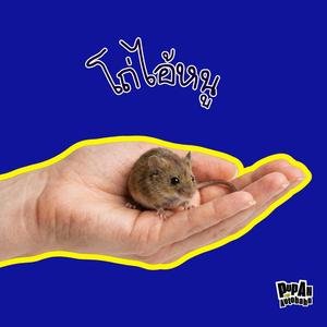 โถ่ไอ้หนู