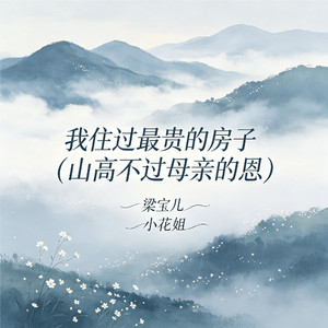 我住过最贵的房子(山高不过母亲的恩)