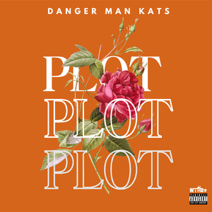 Plot
