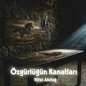 Özgürlüğün Kanatları
