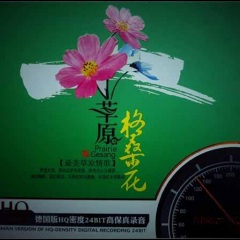 我的新郎在草原