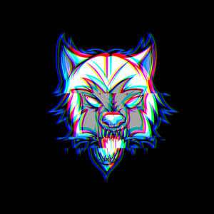 Enigma