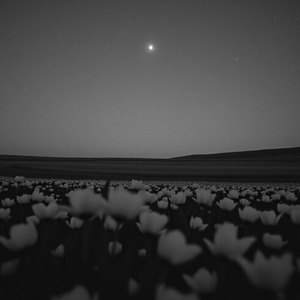 すべて無に還るの？