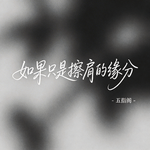 如果只是擦肩的缘分（抖音热播版）