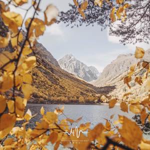 夜空繁星 (自愈音乐)