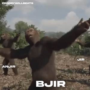 BJIR