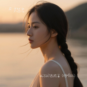 我与孤独把酒（烟嗓版）