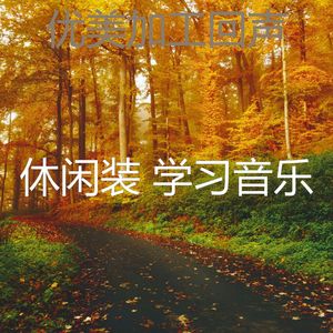 优美正在学习器乐