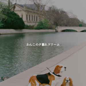 Smooth Ambiance for Chill Down Times