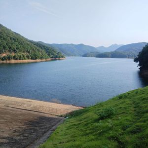 生活的答案-飞飞